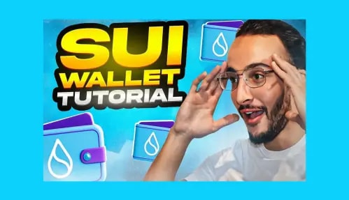 Sui Wallet Tutorial [How To Get Started on the Sui Network], Sui Wallet Guide, Sui Wallet